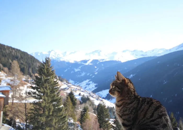 Bergblick By Interhome 別荘 *