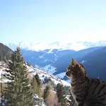 Bergblick By Interhome Prázdninový dům *